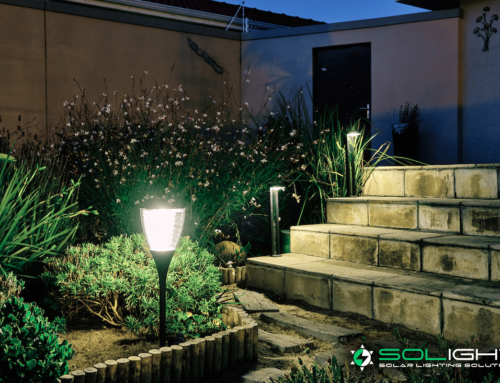 Creating Outdoor Ambience With Solar Lights