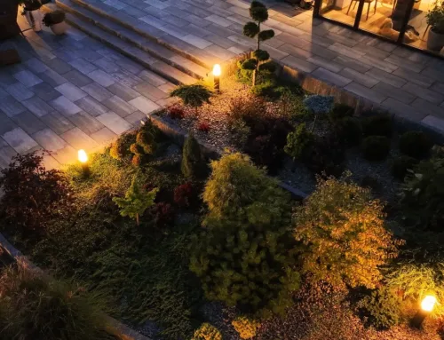 Solar Outdoor Lights vs Electrical: Can Eco-Friendly Be Efficient?