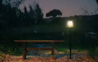 Landscape Lighting