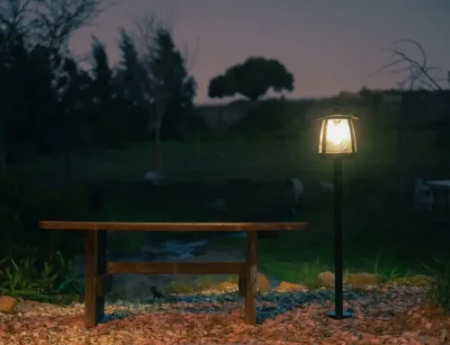 Using Solar Landscape Lighting in Parks and Public Spaces: The Carbon and Cost Savings on Offer